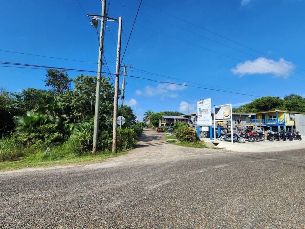 listing image with ID 40584