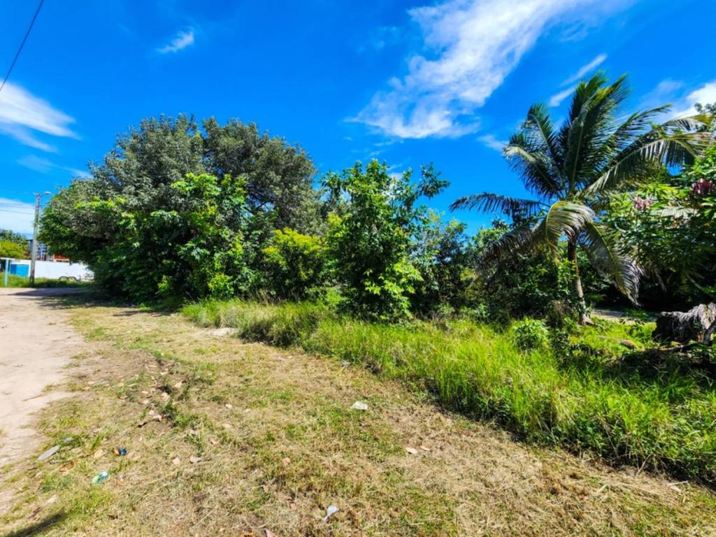 listing image with ID 41906