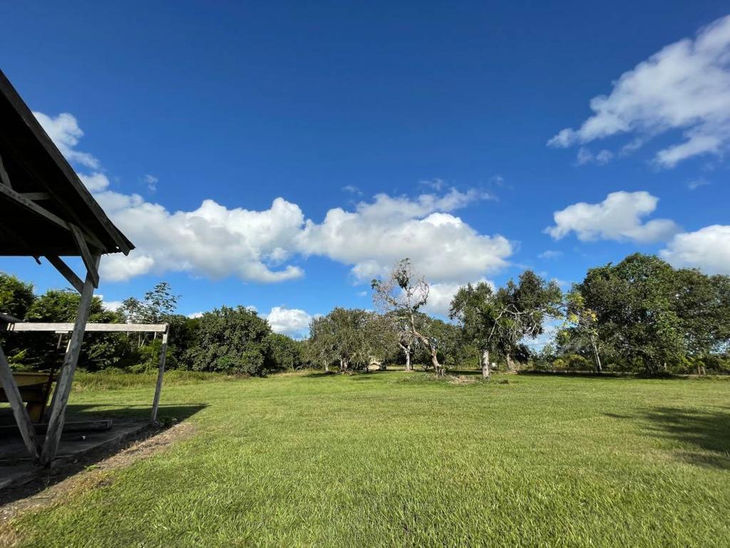 listing image with ID 40995