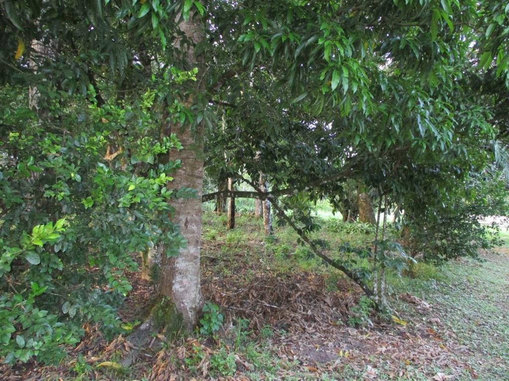 listing image with ID 43070