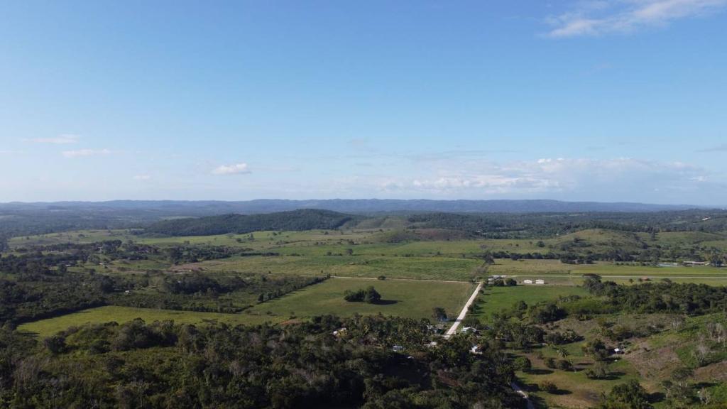 listing image with ID 42901