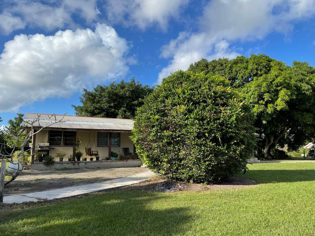 listing image with ID 40987