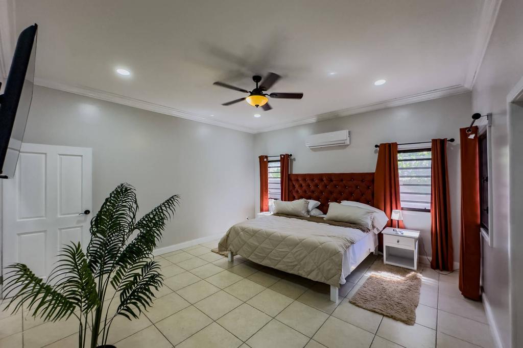 listing image with ID 39501