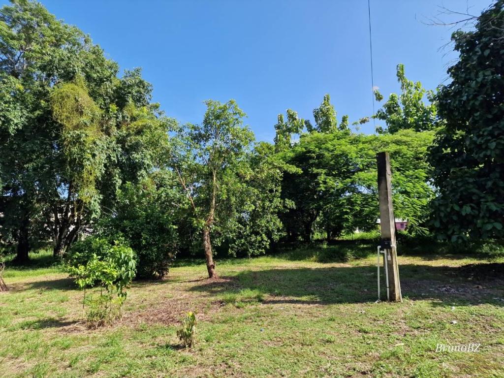listing image with ID 42012