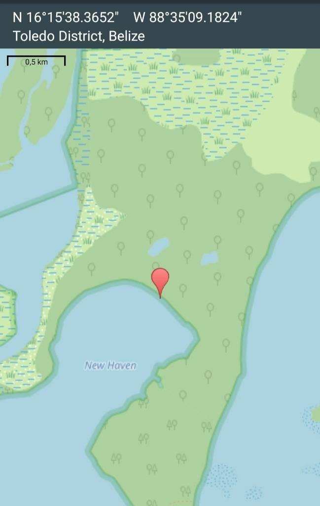 listing image with ID 40920