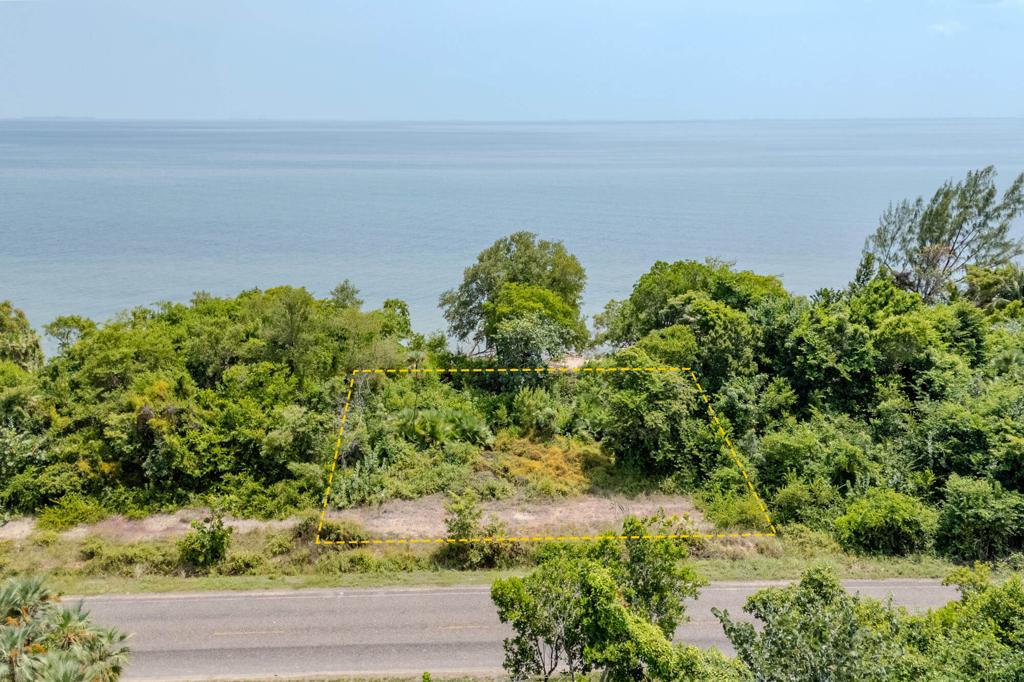 listing image with ID 38652