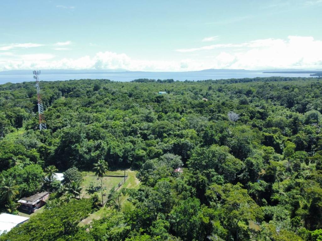 listing image with ID 41271