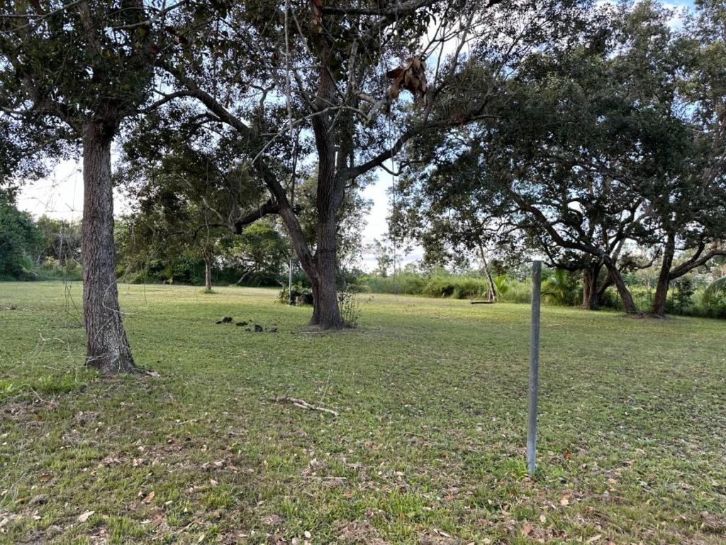 listing image with ID 40851