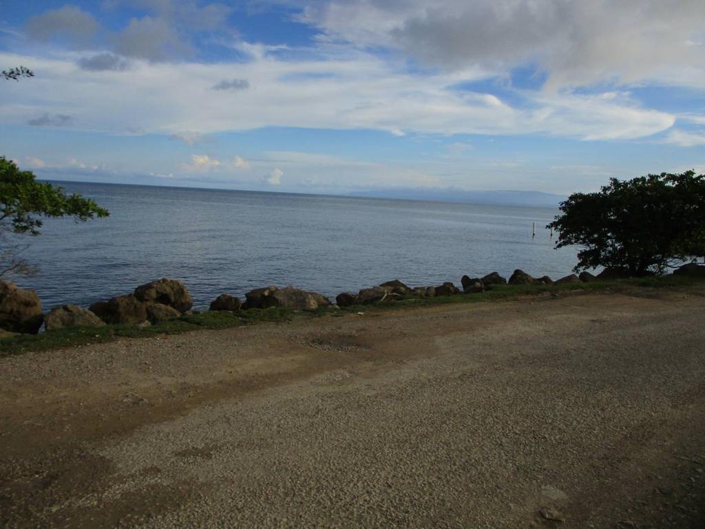 listing image with ID 43482