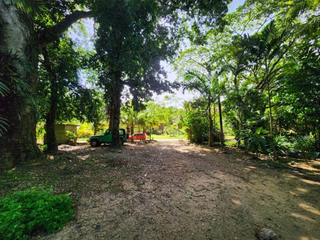 listing image with ID 45200