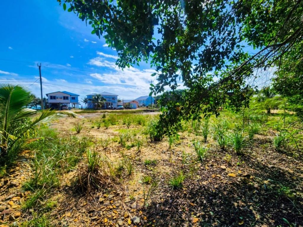 listing image with ID 41952