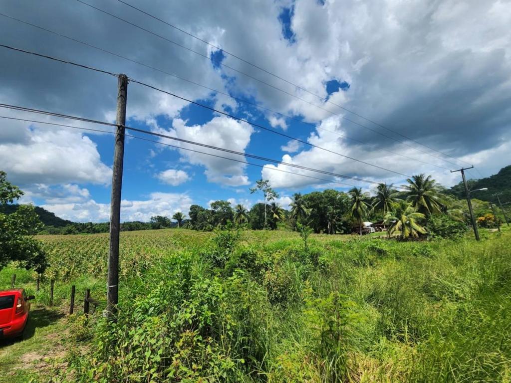 listing image with ID 44210