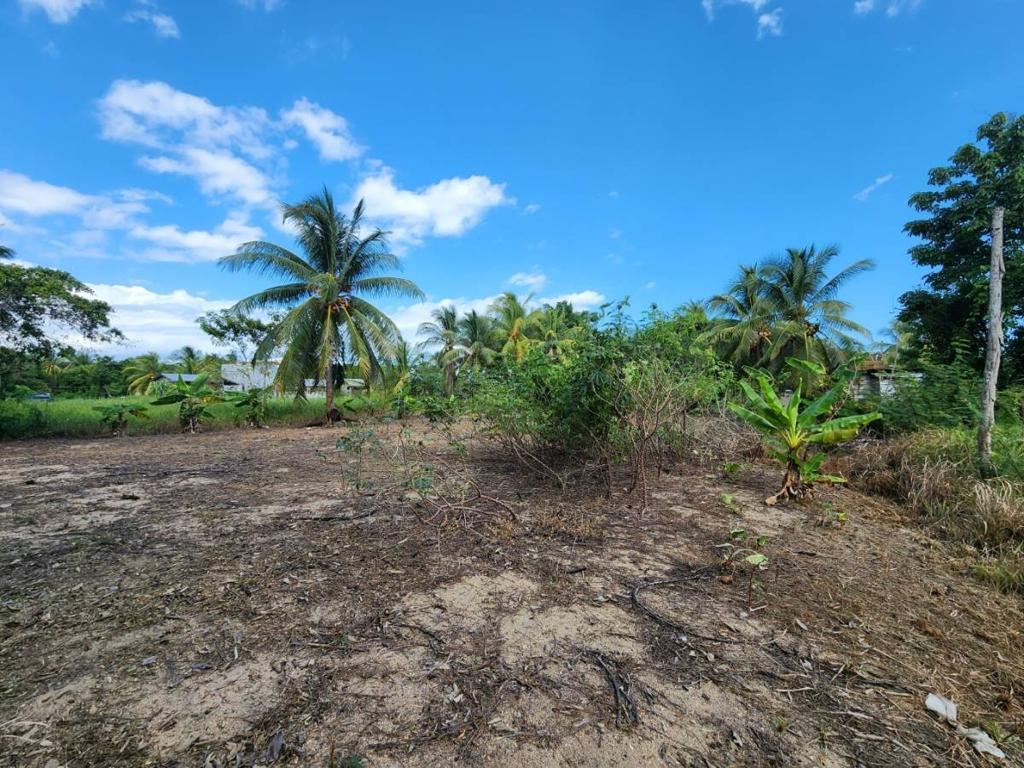listing image with ID 48075