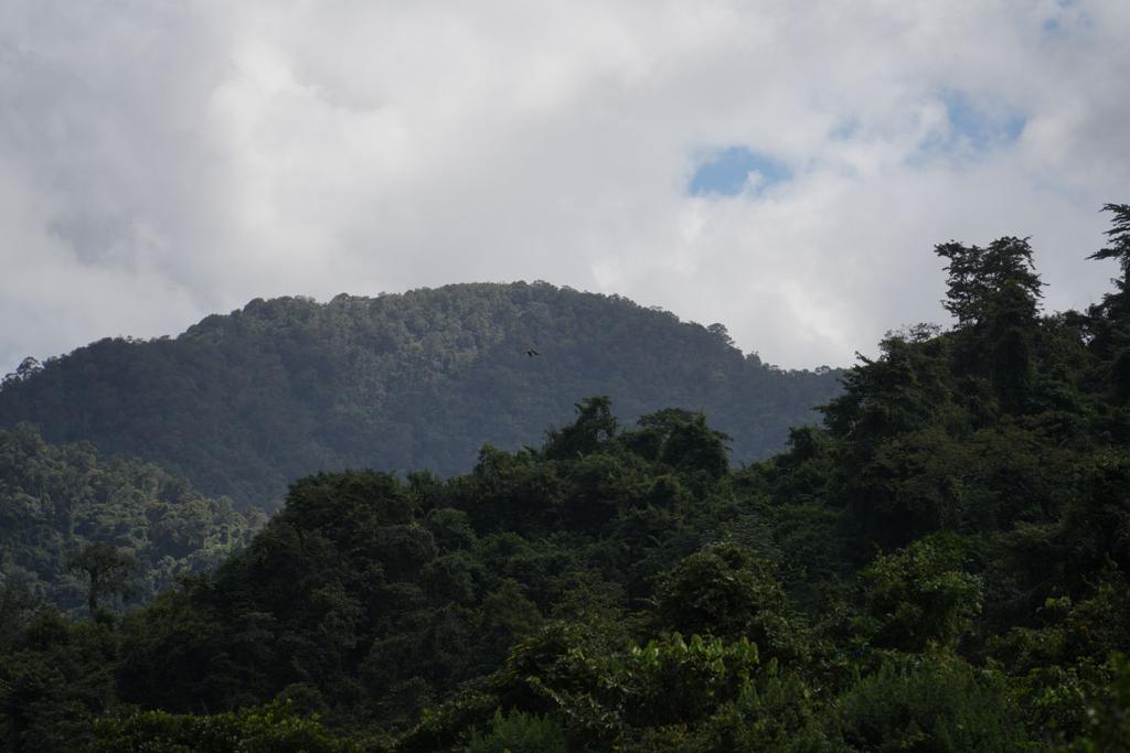 listing image with ID 48876
