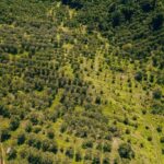 listing image thumbnail with ID 48938