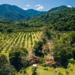 listing image thumbnail with ID 48865