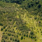 listing image thumbnail with ID 48930