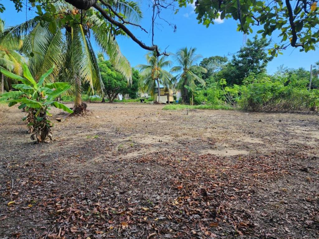 listing image with ID 48067