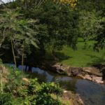 listing image thumbnail with ID 48944