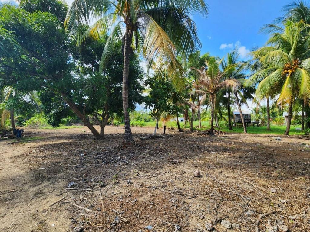 listing image with ID 48065
