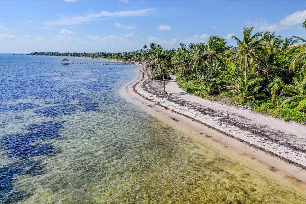 listing image with ID 48763