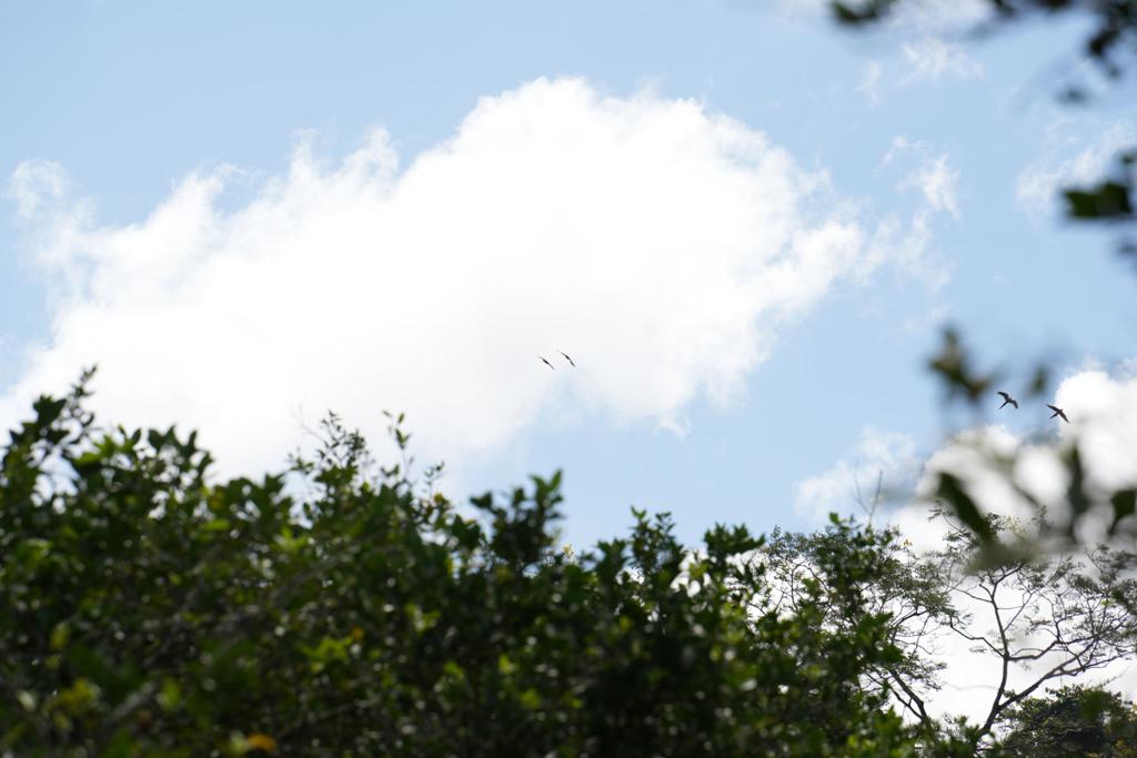 listing image with ID 48486