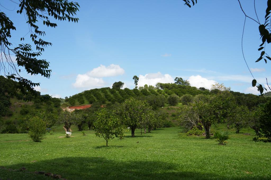 listing image with ID 48372