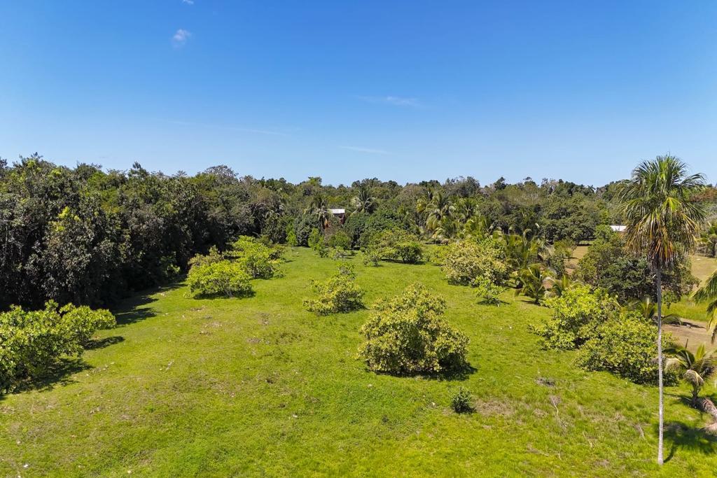 listing image with ID 47692
