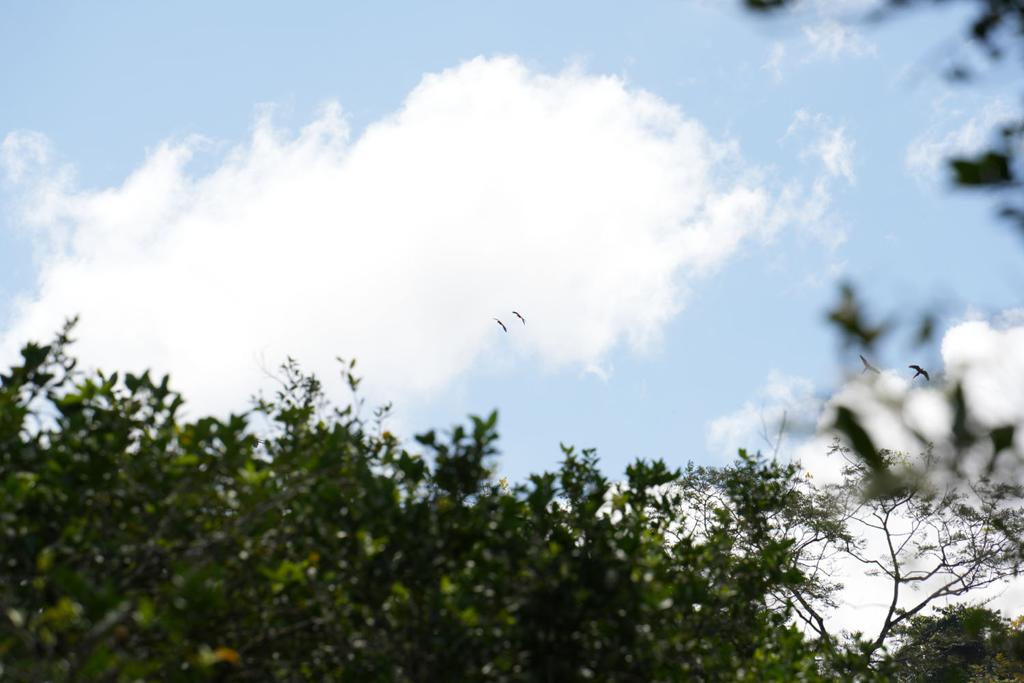 listing image with ID 48485