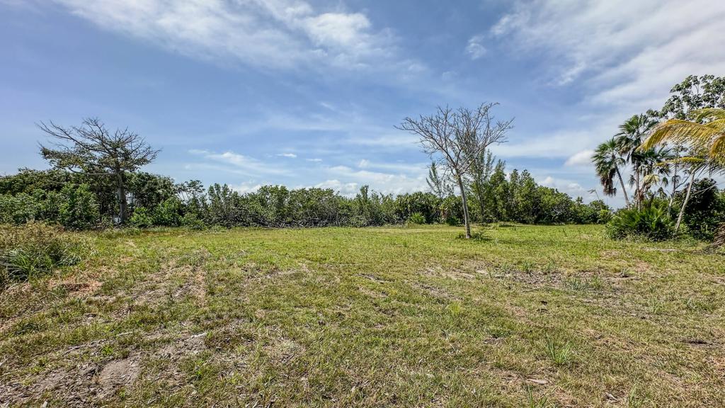 listing image with ID 47724