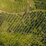 listing image thumbnail with ID 48937