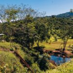 listing image thumbnail with ID 48913