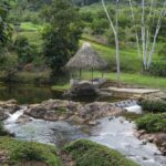 listing image thumbnail with ID 48857