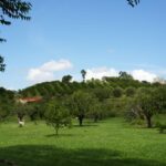 listing image thumbnail with ID 48953