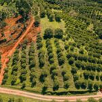 listing image thumbnail with ID 48853