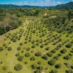 listing image thumbnail with ID 48921