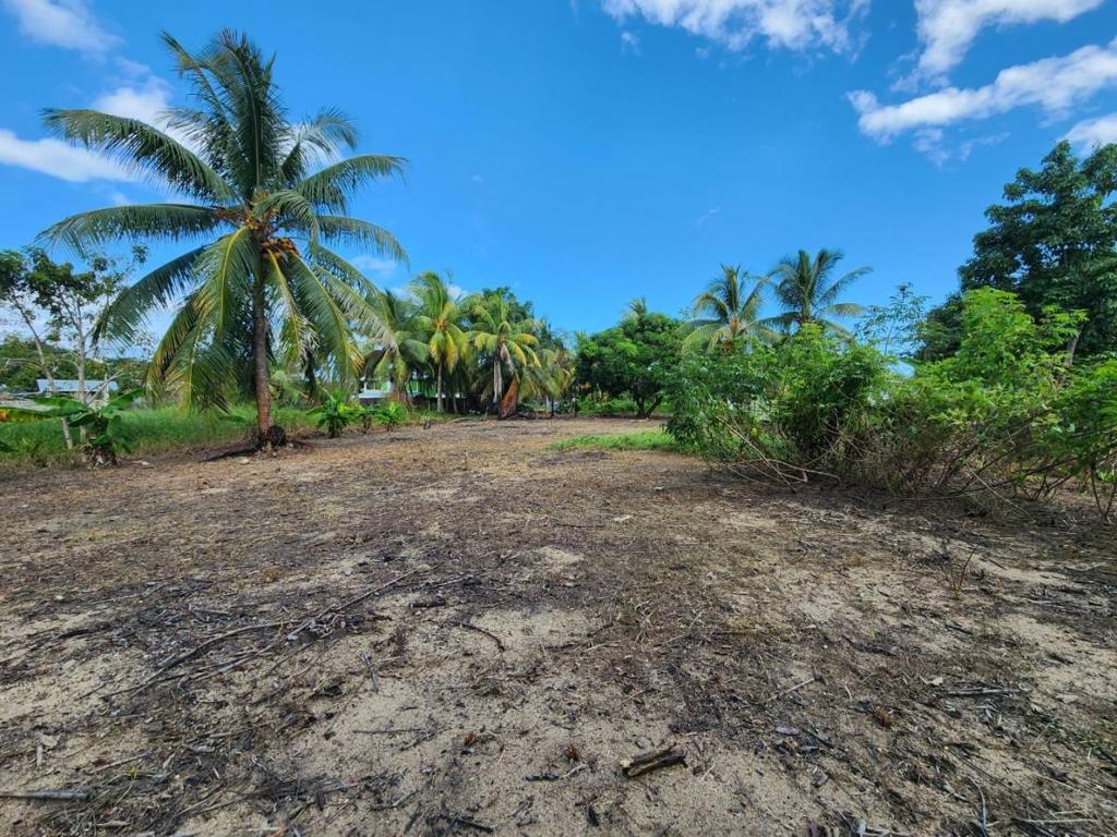 listing image with ID 48076
