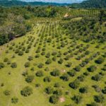 listing image thumbnail with ID 48920