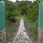 listing image thumbnail with ID 48871