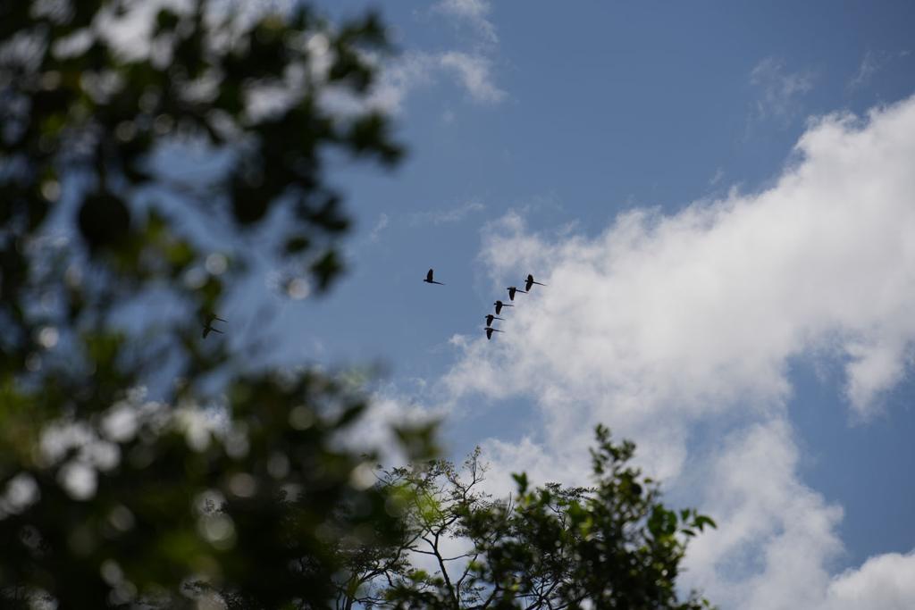 listing image with ID 48487