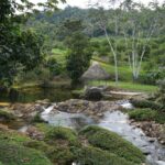 listing image thumbnail with ID 48945