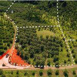 listing image thumbnail with ID 48905