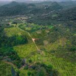 listing image thumbnail with ID 48954