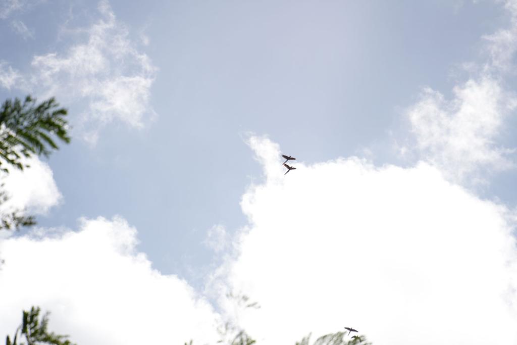 listing image with ID 48351