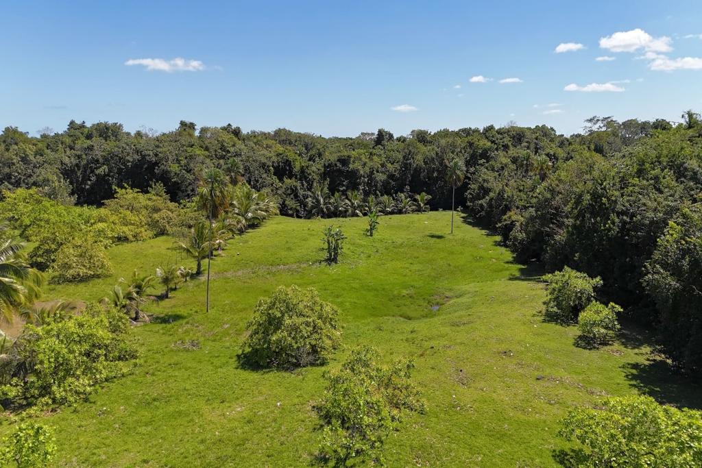 listing image with ID 47694