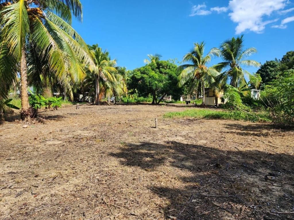 listing image with ID 48074