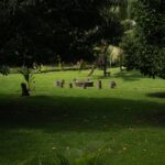 listing image thumbnail with ID 48957