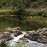 listing image thumbnail with ID 48858