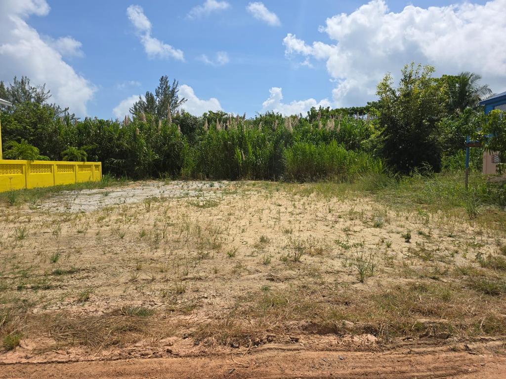 listing image with ID 47621