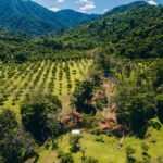 listing image thumbnail with ID 48917